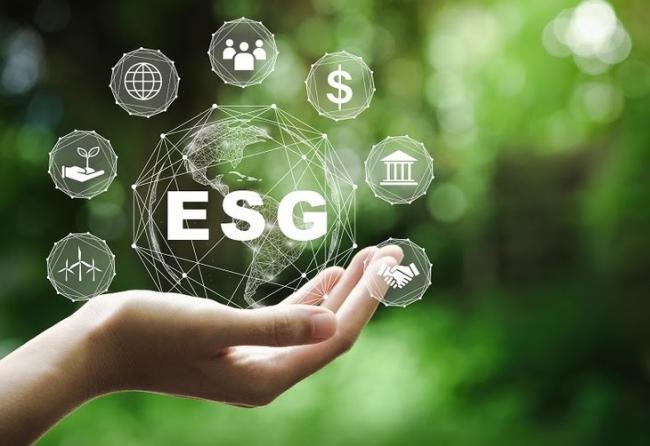 Give a Good Hard Thought About the “E” in ESG